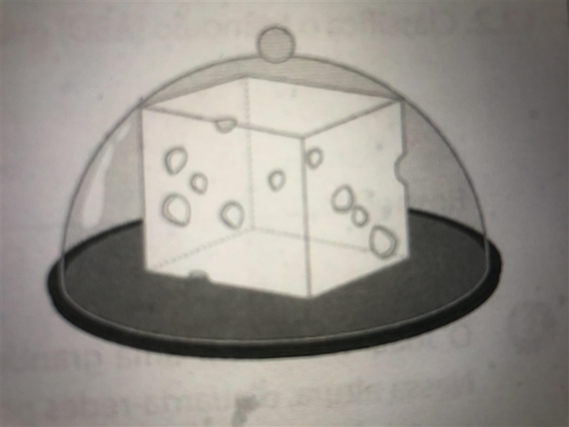 Please help me solve the following problem:Mary has a box with the shape of a semisphere-example-1