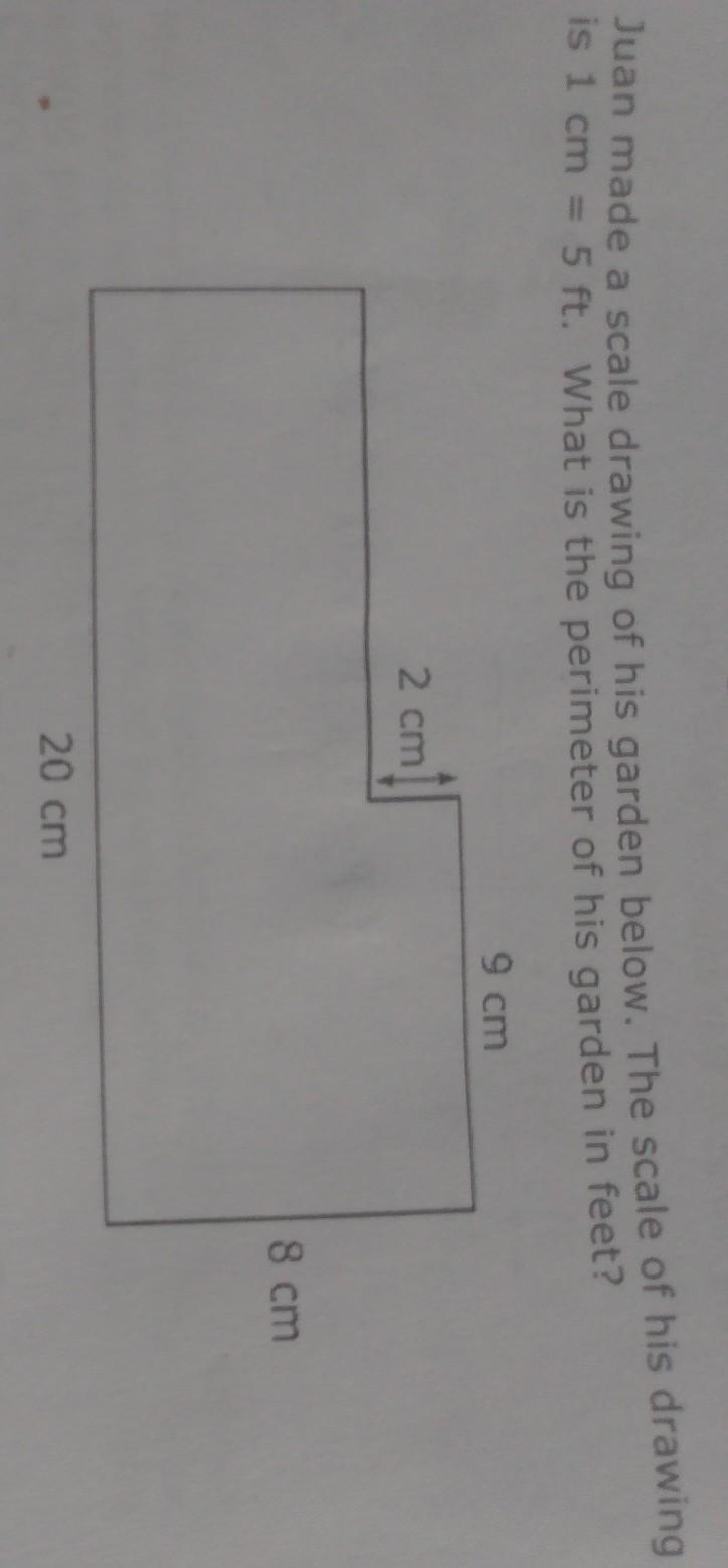 Juan made a scale drawing of his garden below. The scale of his drawing is 1 cm = 5 ft-example-1