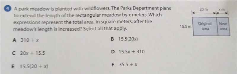 A park meadow is planted with wildflowers. The Parks Department plans to extend the-example-1