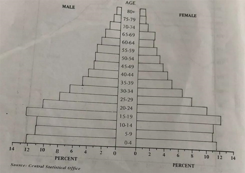 How do I know which percentage of the male is made up by the age group 15-19?-example-1