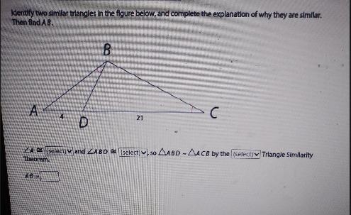 Identify two similar triangles in the figure below, and complete the explanation of-example-1