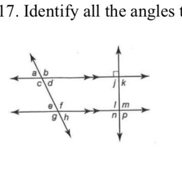 17. Identify all the angles that are congruent to-example-1