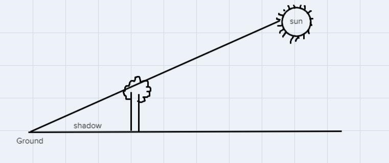 Find the angle of elevation of the sun from the ground to the top of a tree when a-example-1