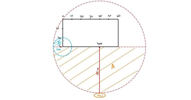 : A cow is tethered by a rope 50 m long. The rope is fastened to a hook which is located-example-2