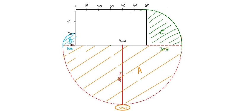 : A cow is tethered by a rope 50 m long. The rope is fastened to a hook which is located-example-4