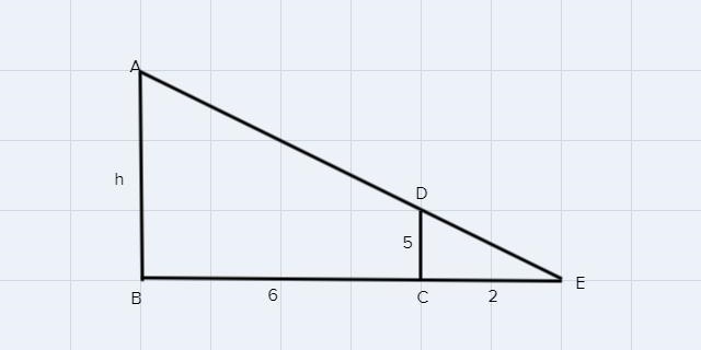 A tree casts a 8 foot shadow-example-1