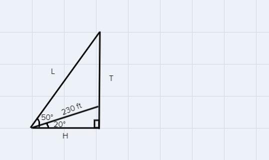 A tree on a hillside casts a shadow c = 230 ft down the hill. If the angle of Inclination-example-2