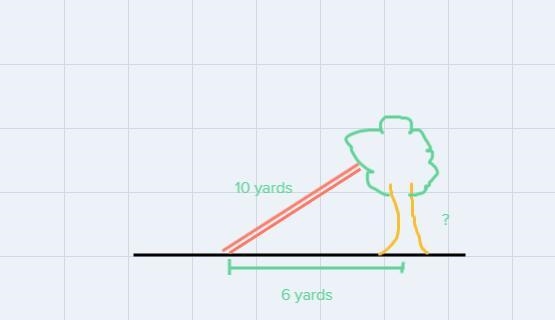 A ladder that is 10 yards in length is resting on a branch of a tree, and the base-example-1