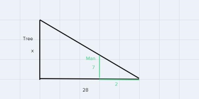 If a tree cast a 28 foot shadow and a man who is 7 feet cast an 2 foot shadow how-example-1