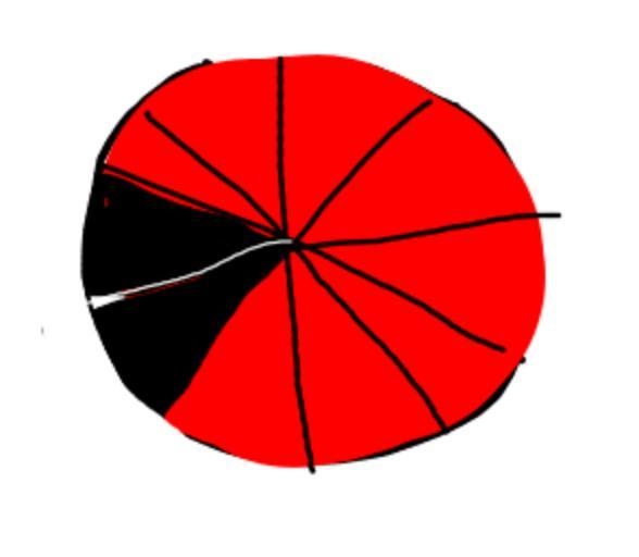 This is a spinner for a game board. color the spinner to show 20% chance of black-example-1