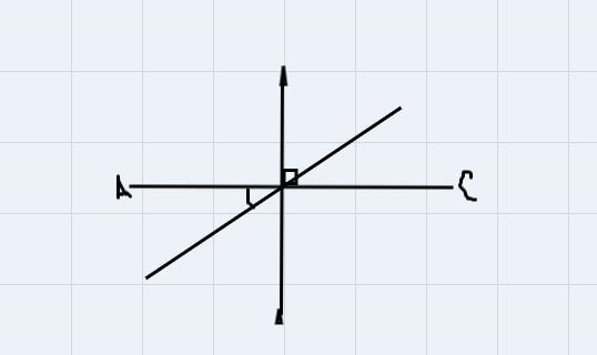 Refer to the diagram. You must write out in complete sentences on a separate sheet-example-1