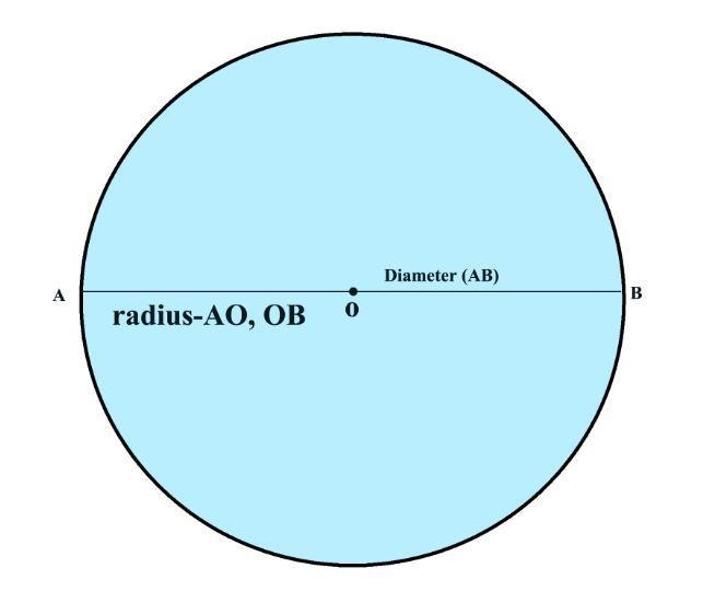 If students only know the radius of a circle, what other measures could they determine-example-1