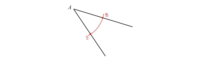 Use a straightedge and compass to Construct the angle bisector of the angle below-example-1