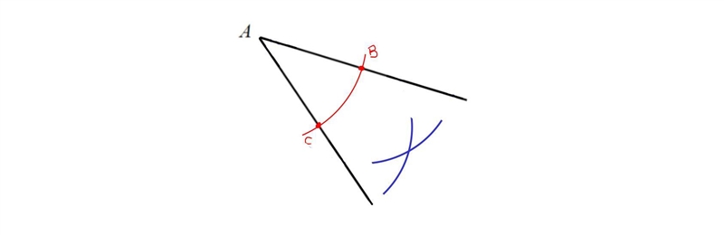 Use a straightedge and compass to Construct the angle bisector of the angle below-example-3