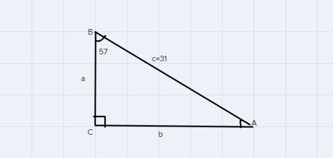 If triangle ABC with C =90°,if C = 31MM & B equals 57° then a equals-example-1