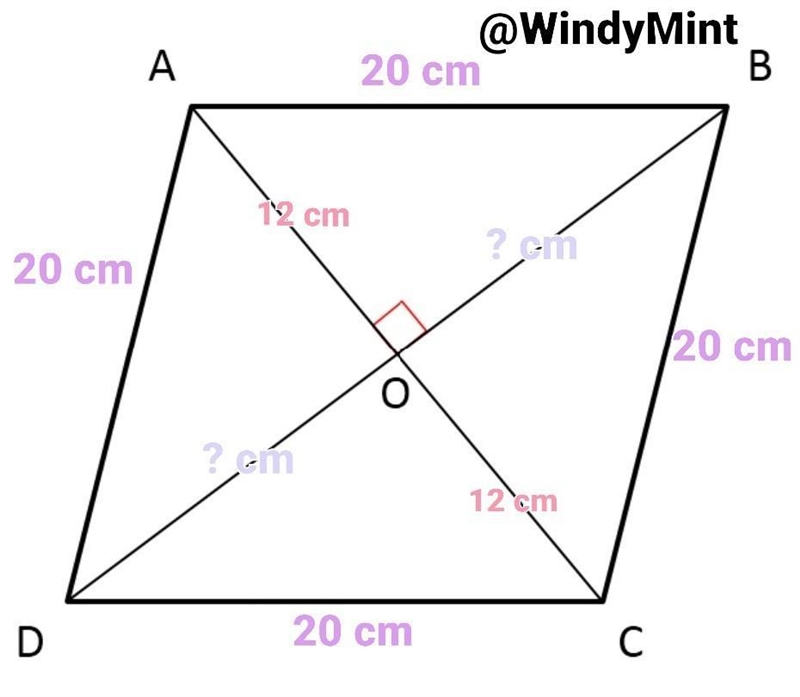 Each side of a rhombus is 20 cm long and one of its diagonals is 24 cm in length, find-example-1