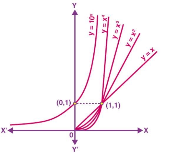 In your own words describe an exponential function. Are there restrictions on the-example-1