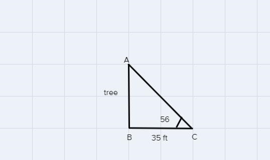 Tree is casting a 35 ft shadow when the sun is at a 56° angle of elevation. How tall-example-1