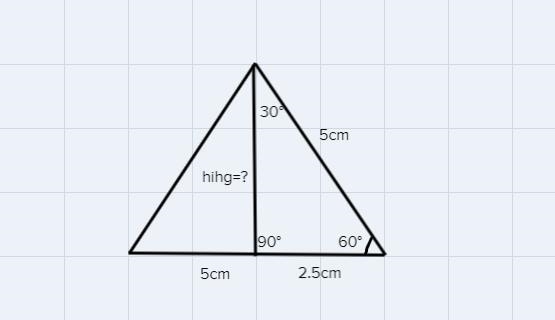 The net below shows the dimensions of a triangular pyramid with equilateral base.What-example-1