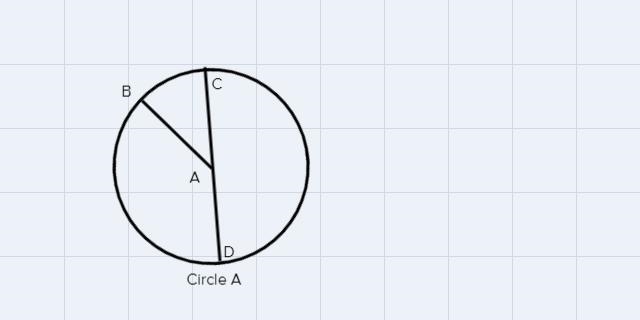 Parts of a CircleFor this assignment, you will draw and label the parts of a circle-example-3