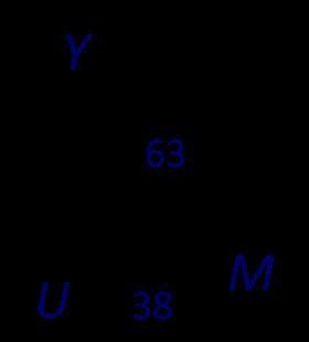 Which of the following is correct based on this picture? A. sinY=38/63B. none of these-example-1