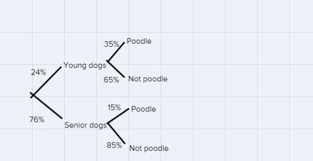 Every day dogs come to the dog park to frolic. Age of dogs: 24% of the dogs that come-example-1