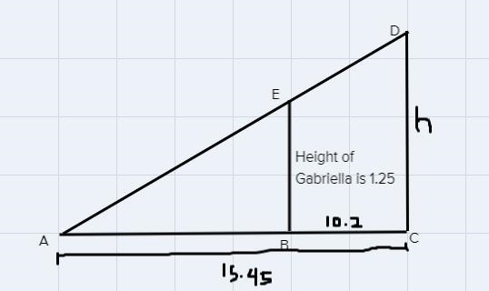 Geometry: Gabriella is 1.25 meters tall. At 3 p.m., she measures the length of a tree-example-1