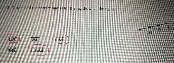 5. Circle all of the correct names for the ray shown at the right.-example-2