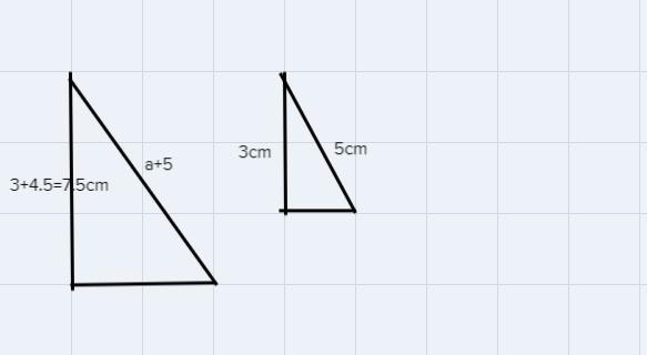 In the figure shown MN is parallel to segment YZ what is the length of segment YZ-example-1