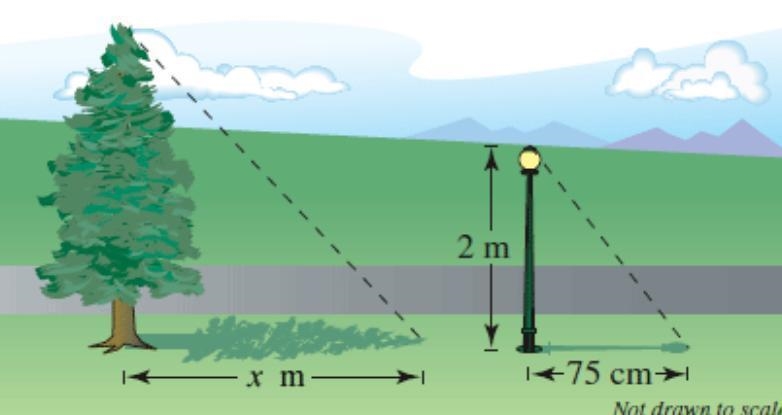 NO LINKS!!! You measure a tree's shadow and find that it is x = 11 meters long. Then-example-1