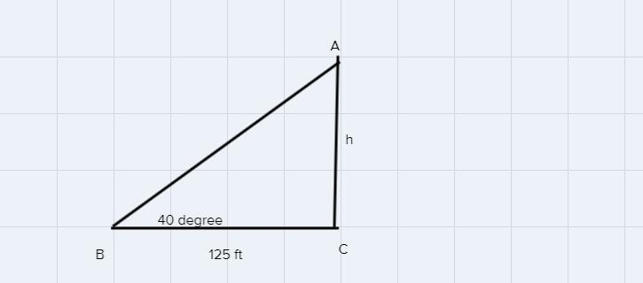 A surveyor wants to find the height of a tower used to transmit cellular phone calls-example-1