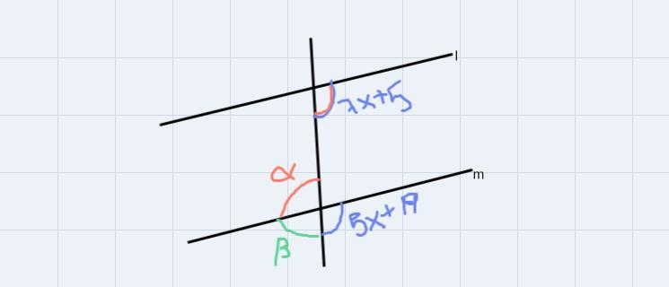 Find X so that l (double vertical line) m.Show your work.-example-1