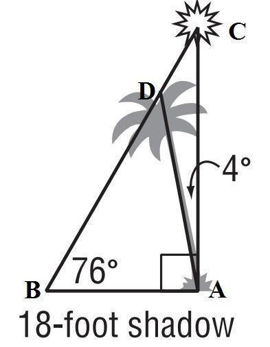 When the sun's angle of elevation is 76°, a tree casts an 18-foot shadow on the ground-example-1