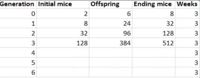 Figure out how many offspring there would be for the fifth and sixth generations using-example-1