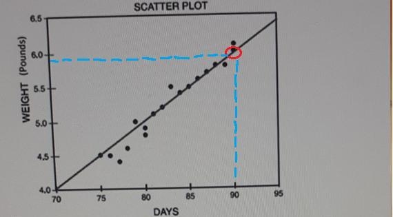 Use the data in the scatterplot to predict weight after 90 days.-example-1