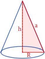 A customer is comparing the size of pil funnels in a store. The funnels are cone shaped-example-1