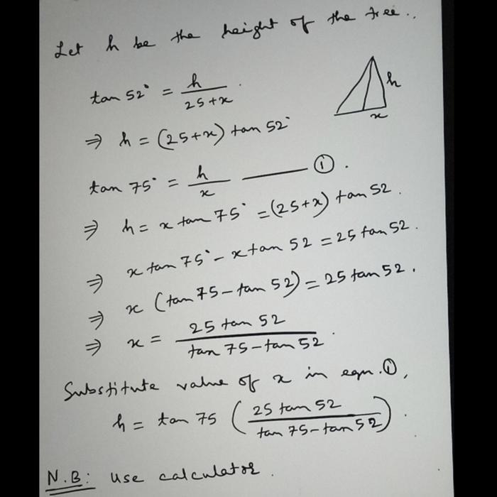 Find the height of the tree below to the nearest foot.-example-1