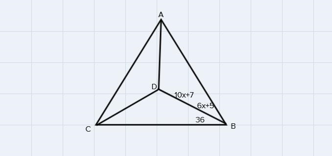 Point D is in the interior of-example-1