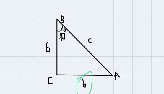 If a = 6 and B = 40 degrees,find b.-example-1