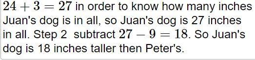 Juan's dog stands 2 feet and 3 inches tall. Peter's dog stands 9 inches tall. Calculate-example-2