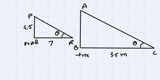 A tree casts a shadow 35m long. At the same time, a sign post casts ashadow 7m long-example-1