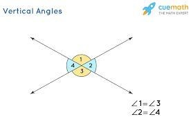 Find the measure of angle b.​-example-1