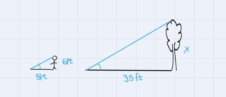 How do I see this up to solve it? 35/6 = x/5? Or am I mix matching it?-example-1