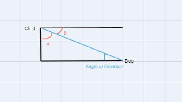 N the image above, Angle is an angle of elevation from the dog to the child.-example-2