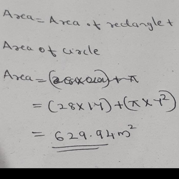 Find the area of the figure. Round to the nearest hundredth where necessary. 24 m-example-1