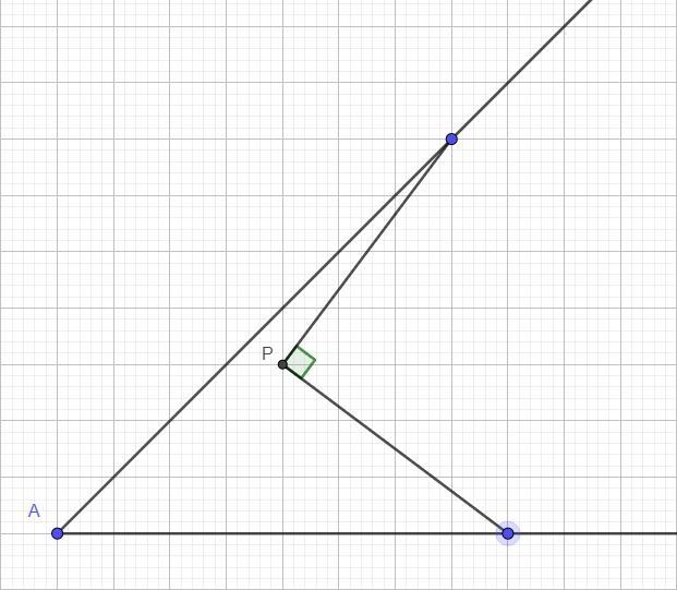 A True False P Given the diagram as marked. True or False: P is on the angle bisector-example-1