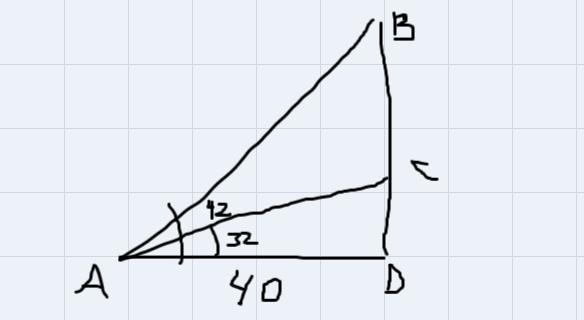 A bird is flying above a tree. You are standing 40 feet away from the tree. The angle-example-1