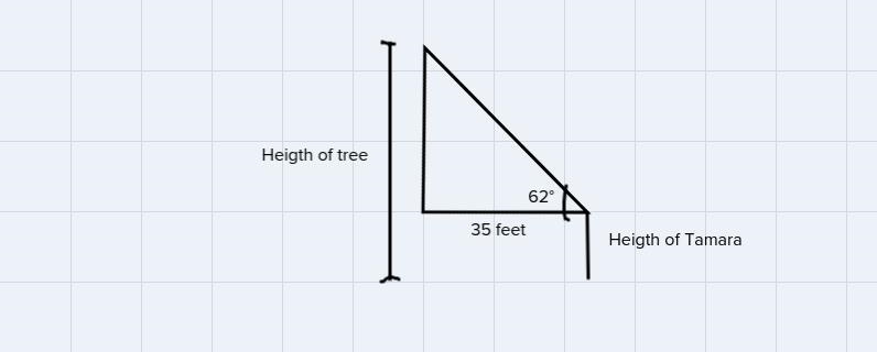 tamara wants to calculate the height of a tree outside her home. using her clinometer-example-1