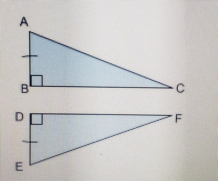 Explain what other information is needed to prove these triangles congruent using-example-1