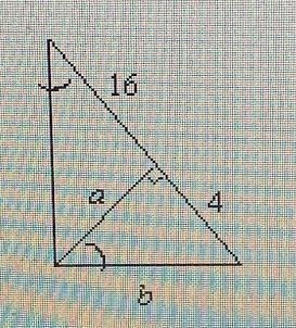 Geometry Need help finding A and B-example-1